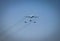 â€Israel`s 73rd independence day - IAF flyover - Aerial refueling F16